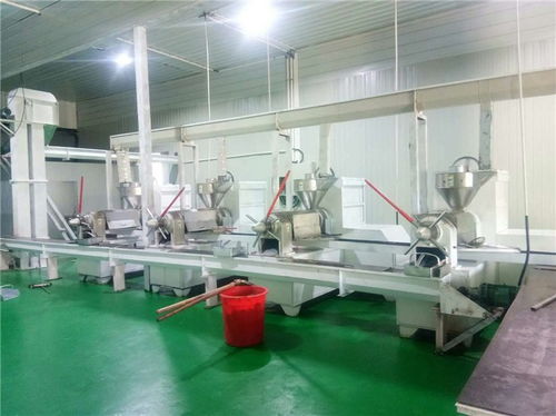 食用油牡丹籽油精煉油設(shè)備多少錢 悅恒機(jī)械誠信經(jīng)營
