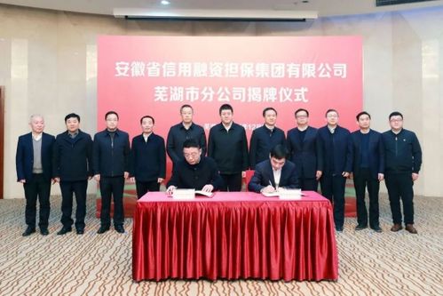 省信用融資擔(dān)保集團蕪湖市分公司揭牌